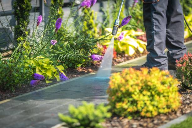 Best Post-Construction Pressure Washing  in Barrackville, WV